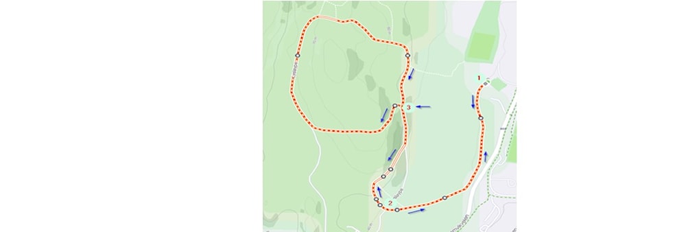 Vestfold løpskarusell - Vear 29. mai